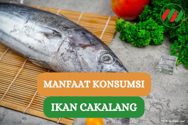 7 Manfaat Konsumsi Ikan Cakalang bagi Kesehatan